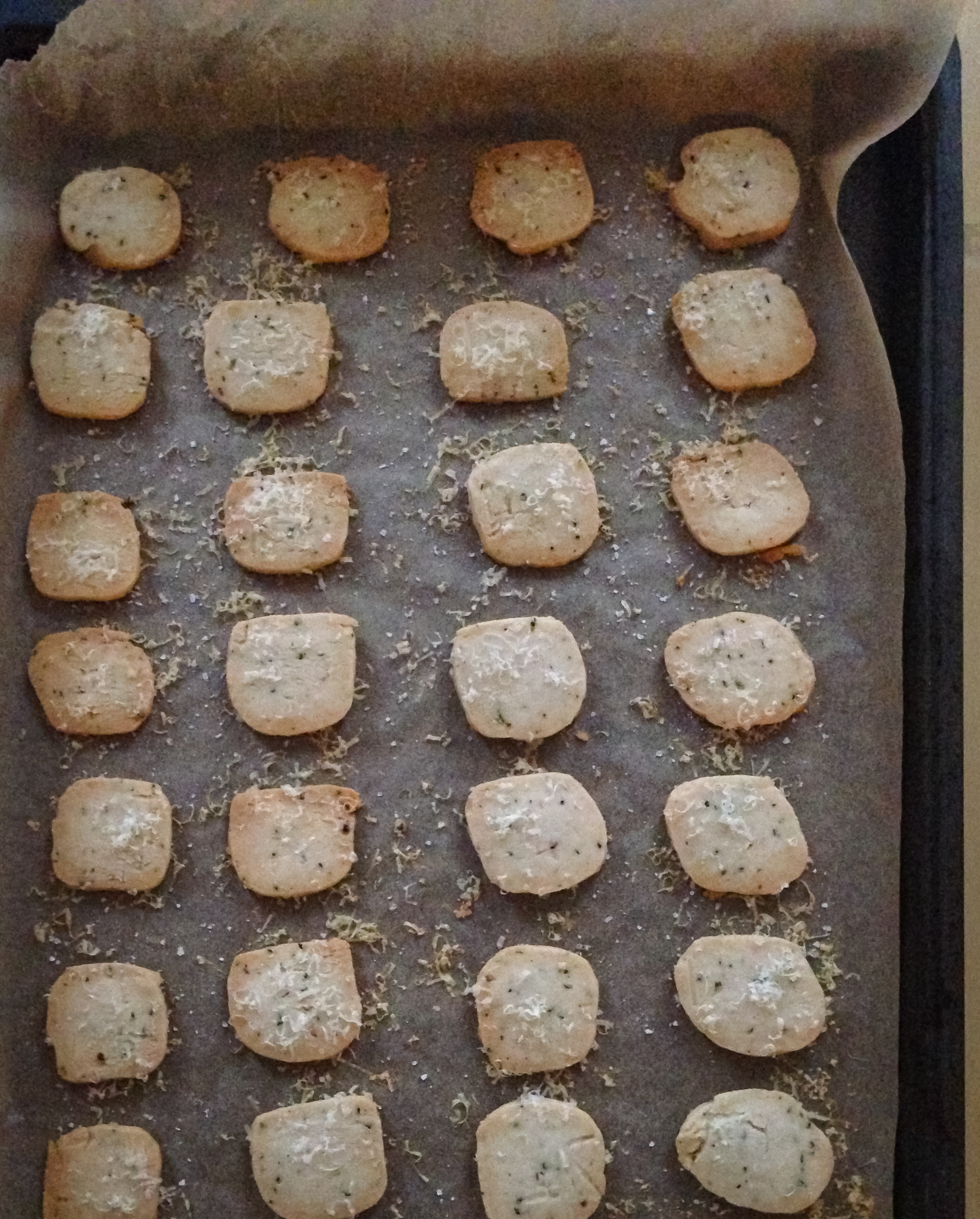 Parmesan Rosemary Biscuits with Fig Jam and Prosciutto