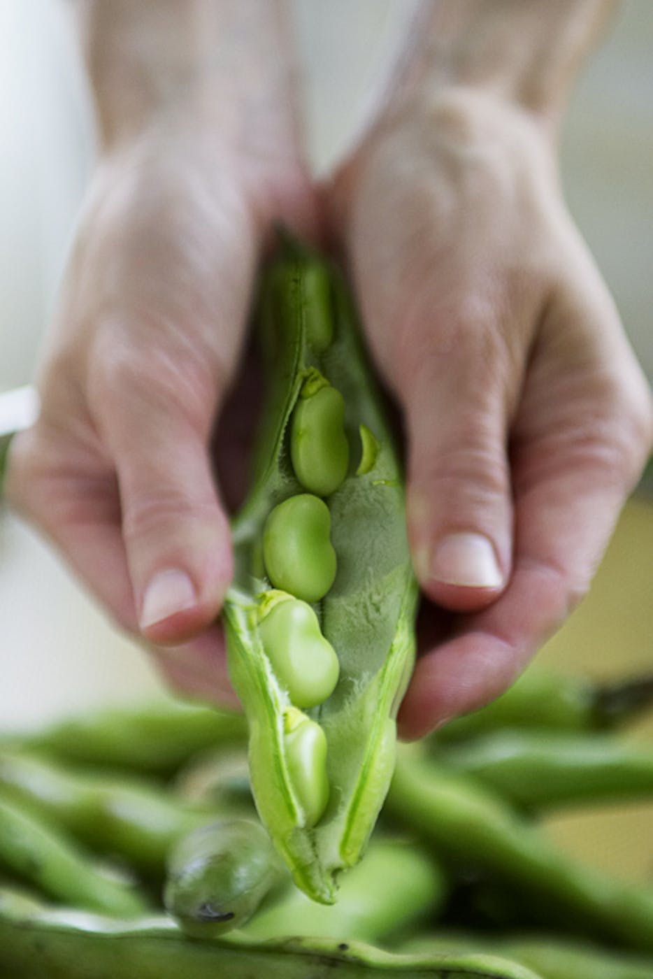 fava-beans-101-the-yellow-table